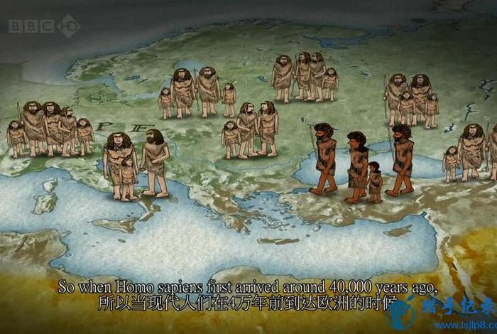 人类是怎么来的视频 人类是怎么来的纪录片