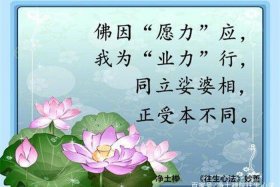 依教奉行感悟；依教奉行感悟怎么写