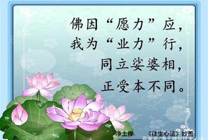 依教奉行感悟；依教奉行感悟怎么写