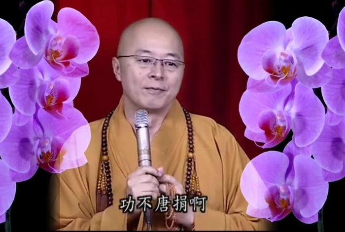 佛学类视频 佛学视屏网