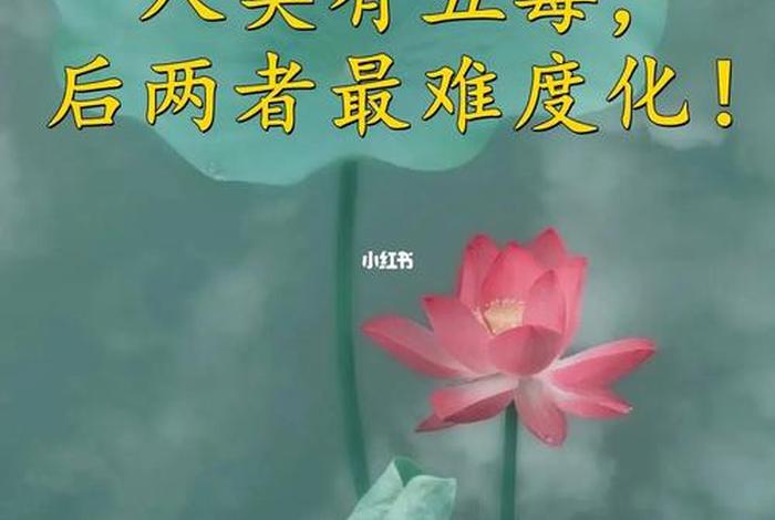佛学五毒是哪五种 - 佛学五毒是哪五种类型