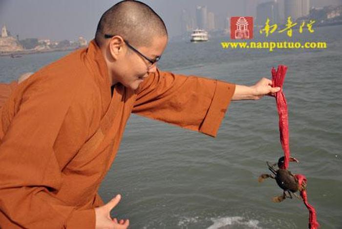 佛学放生的时候怎么念（佛法放生）