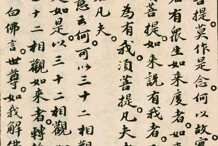 金刚经中的相是什么意思（金刚经有相）