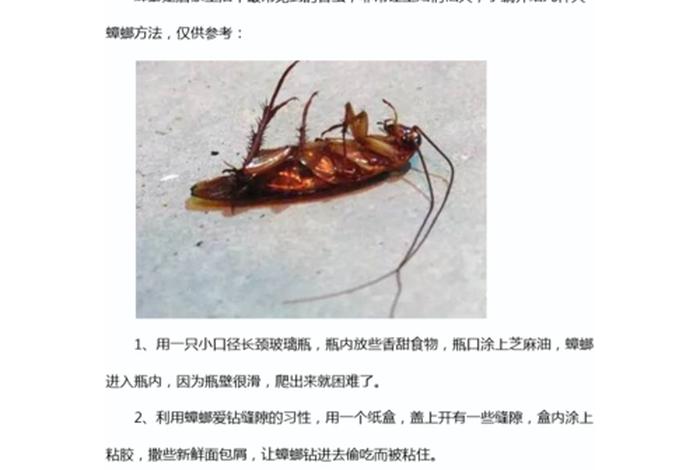 如何用佛经驱赶蟑螂；佛弟子怎么驱赶家里的蟑螂