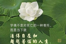 佛法处理家庭矛盾，佛法开示家庭不和怎么办