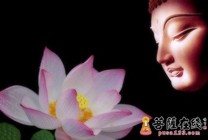 佛教境界视频（佛教视屏）