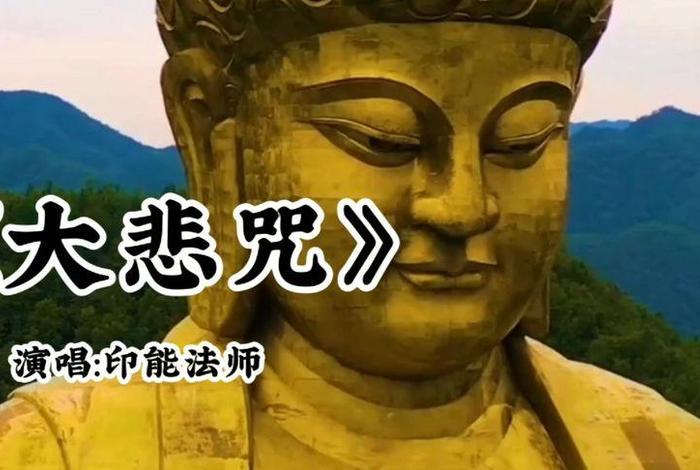 佛教的道理 佛教道理视频