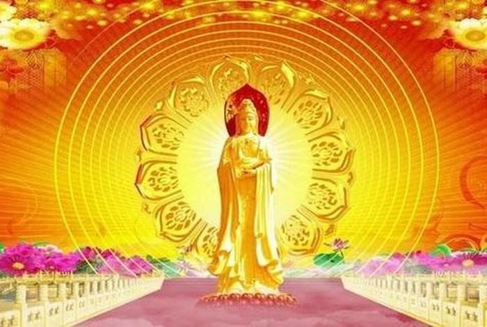 风水知识大全佛教音乐视频（风水知识大全佛教音乐视频播放）