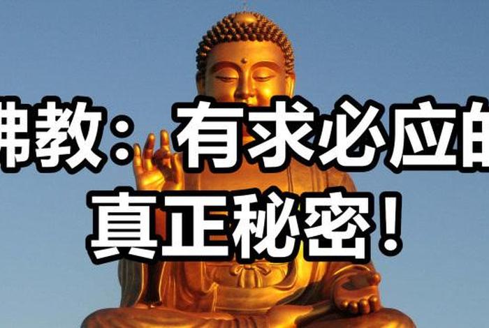佛教的智慧怎么获得的知识和能力（佛教如何获得智慧）