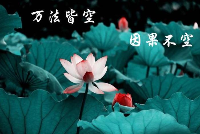 万法皆空因果不空什么意思 - 因果不空简单的理解