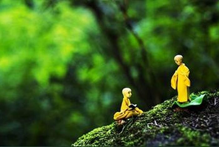 每日一禅佛法图解 每日一禅视频全集