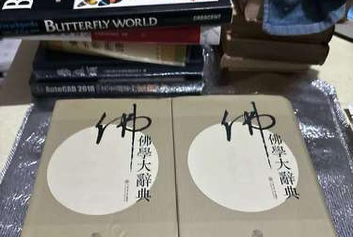 佛学大辞典在线阅读（佛学大辞典在线阅读下载）