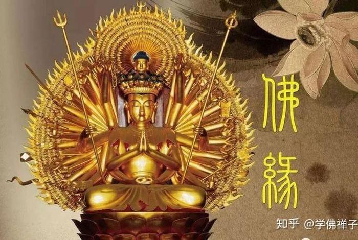 善良是佛教基础知识吗知乎文章（善良的解释佛教）