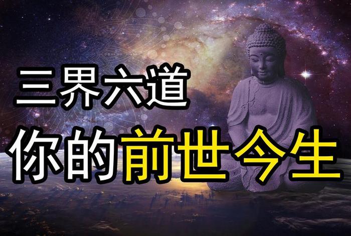 因果与业报的区别；佛说因果业报