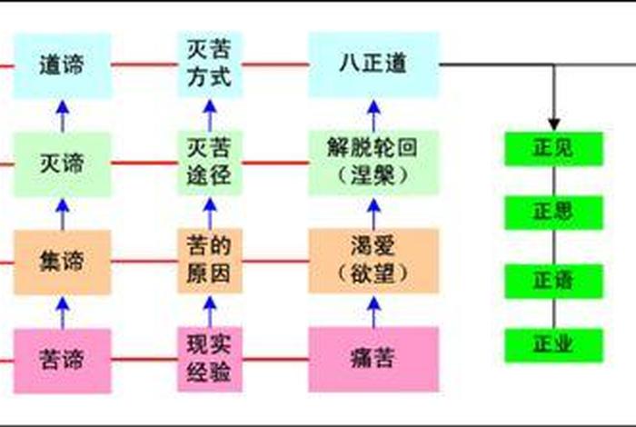 佛教物种起源说总结，佛教 物质