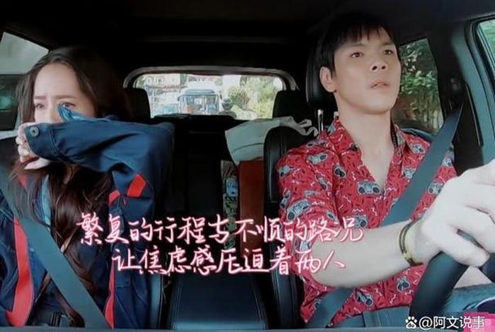 向佐介绍说自己完整、向佐做什么的