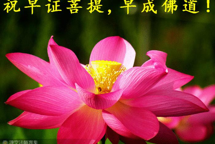 佛教心魔百科知识视频、佛教 心魔
