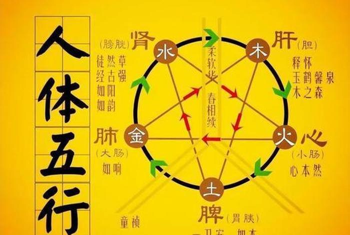 佛学五行（佛家五行指什么意思）