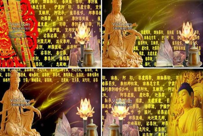 佛教知识抖音视频素材网站下载、佛教短视频素材