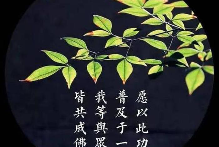 佛法说什么是菩提心、佛说的菩提心是什么