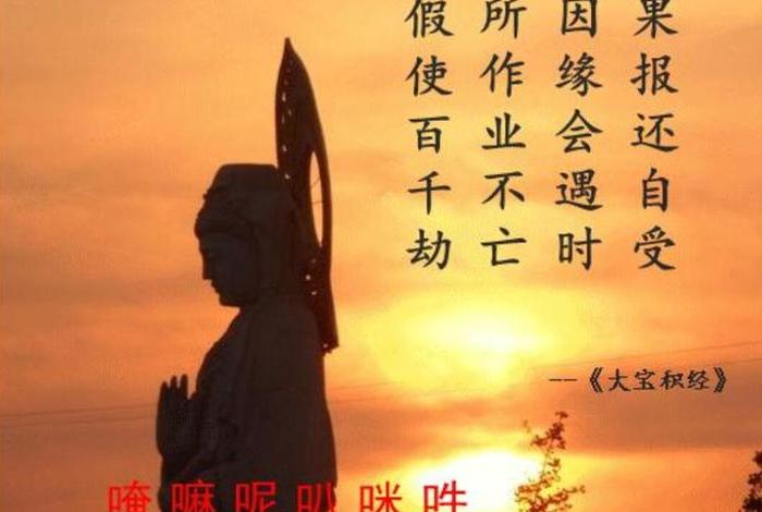 佛法里脸上长痘是什么因果，佛教谈长痘痘
