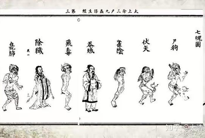 三尸为哪三尸（三尸指什么）