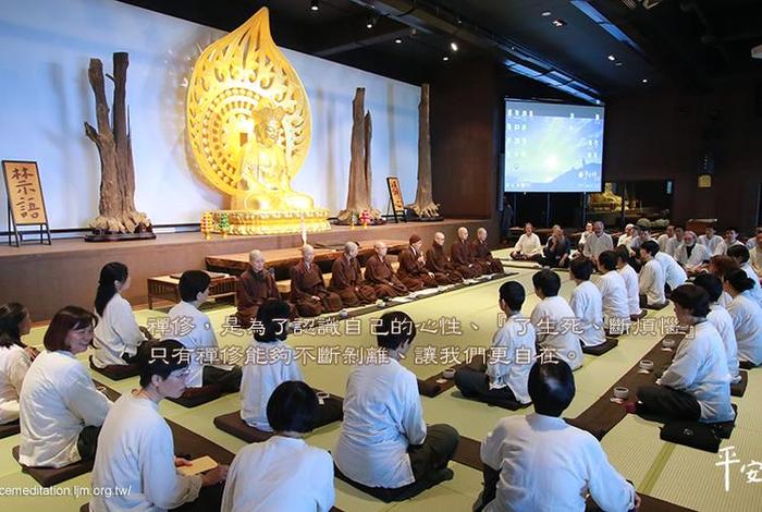 佛教打坐讲座视频、佛教打坐讲座视频全集