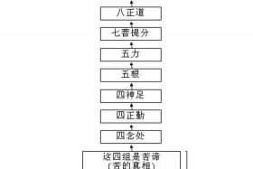 佛教理论的基本知识有哪些 - 佛教的理论基础是什么