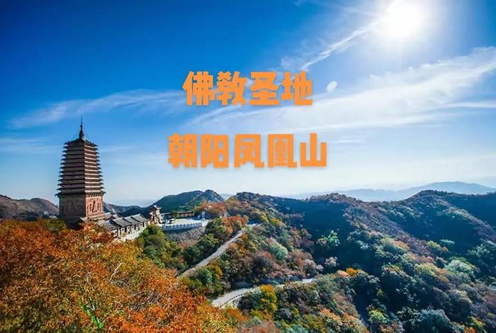 佛教圣地讲解视频，佛教十大圣地