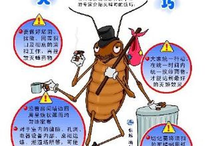 佛弟子怎么驱赶家里的蟑螂（佛弟子如何驱赶蟑螂）