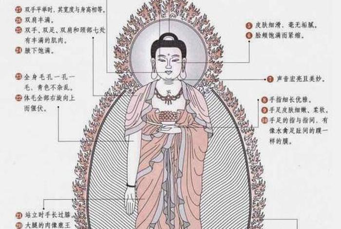 佛教造像基础知识大全集 佛教造像基础知识大全集下载