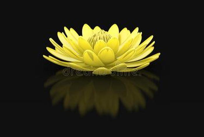 佛教花卉植物大全 佛教花卉图案大全图片