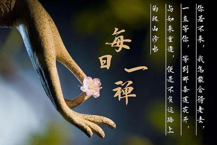 佛教教育子女短片、佛教教育子女短片文案