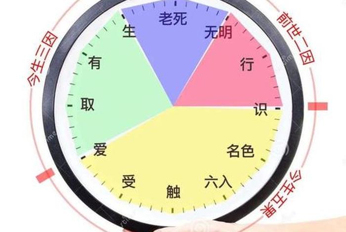 五蕴十二因缘关系；五蕴因果