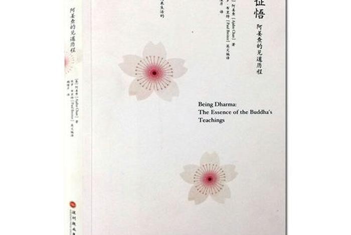 南传佛教修法（南传修法次第）