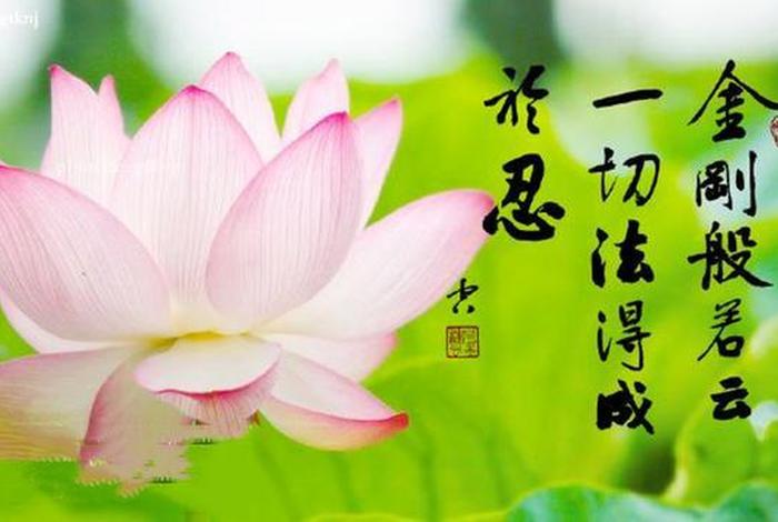 佛教与科学知识 佛教与科学的惊人巧合