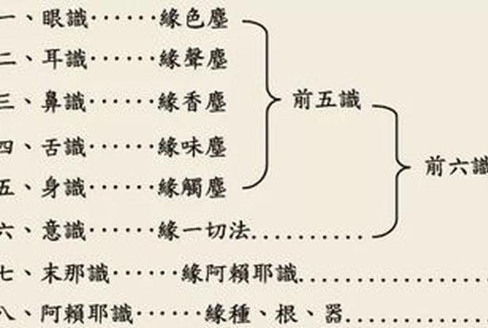 佛教中观派和唯识派；佛家的唯识观有几识