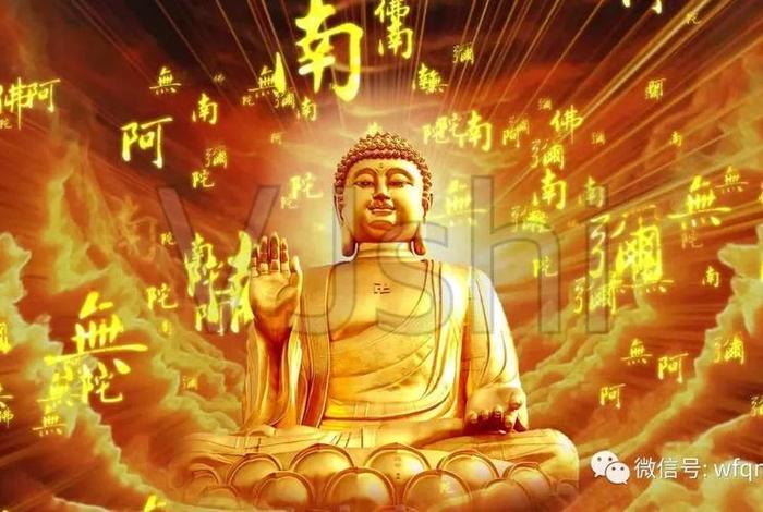 佛教用语弥陀啊的意思是什么、何为弥陀