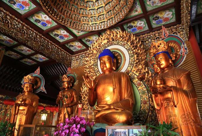 佛教大雄宝殿照片、佛教大雄宝殿内部图片