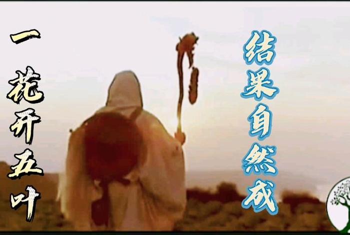 佛说一花开五叶；一花开五叶的意思