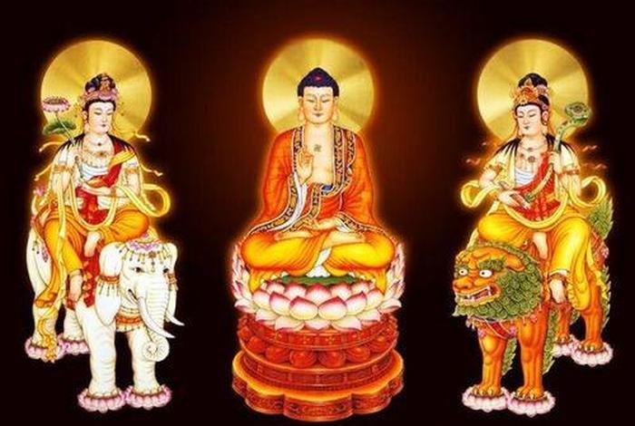 佛教说的四大是什么；佛教中四大是指什么
