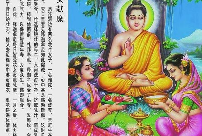 佛陀的基本知识（(佛陀)）