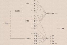 净界法师六根六尘六识；佛教中六根六尘六识