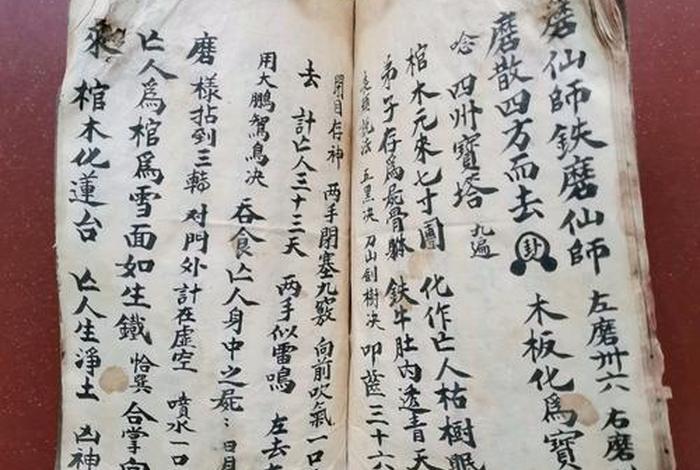道教居士初学者必读（道教居士读什么经）