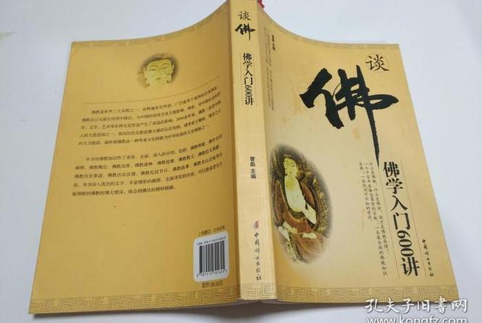 佛学入门600讲（佛学入门600讲 pdf）