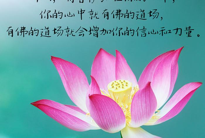 佛教用语大全带图片（佛教专用语大全）