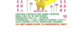 佛教的一些知识是什么（佛教的一些知识是什么意思）