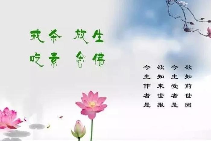 最好的学佛微信公众号（学佛公众号推荐）