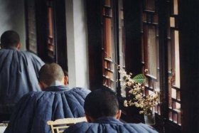 佛教教学穿袈裟 穿袈裟的僧人