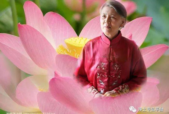 佛教刘素云讲课；刘素云讲佛法视频19年新视频